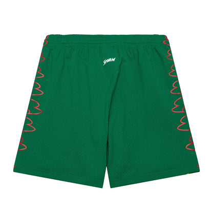 Mitchell and Ness Swingman Shorts