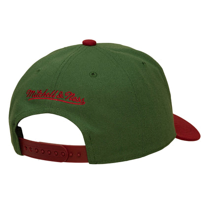 Mitchell and Ness Throwback Home Pro 2 Tone