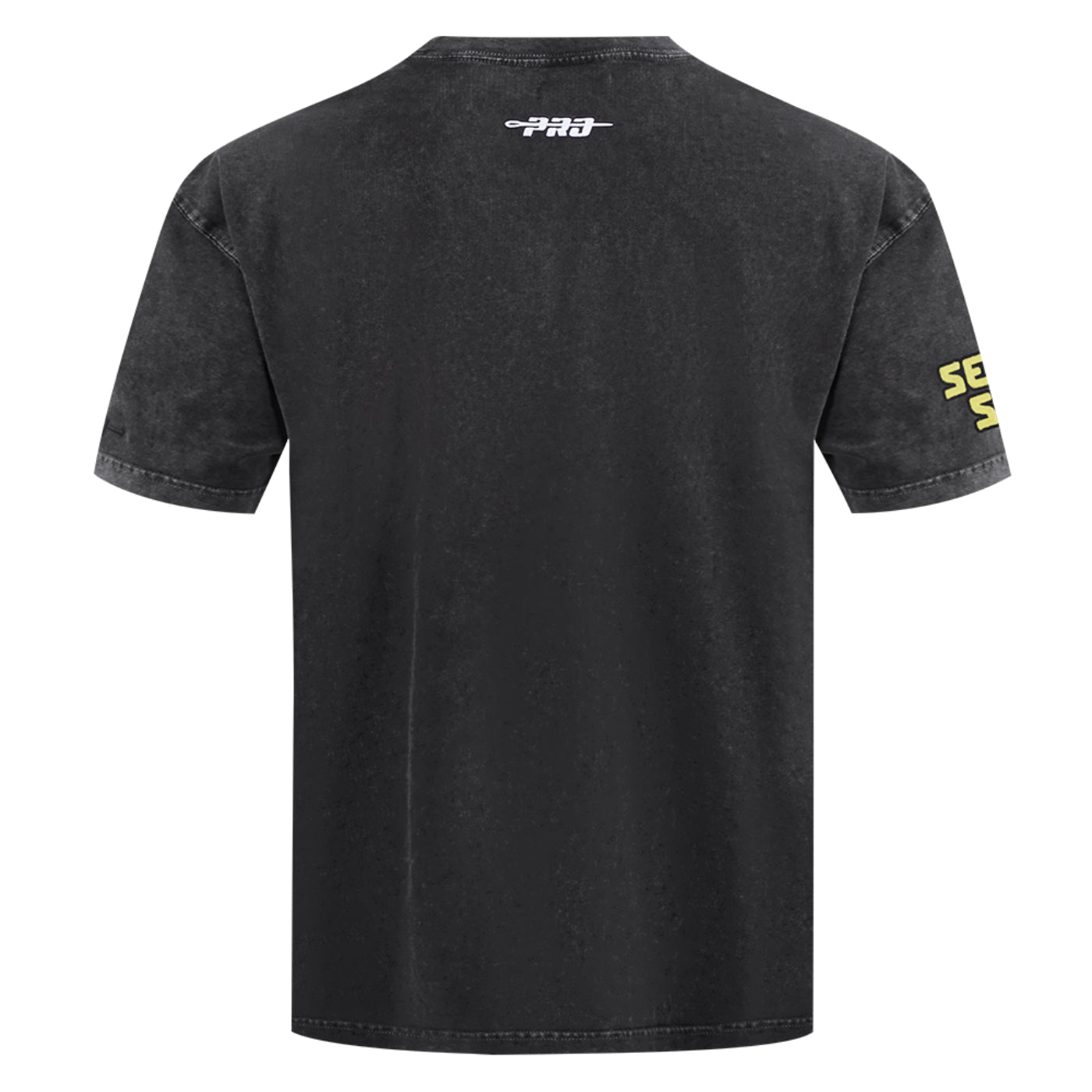 Pro Standard Mountains and Roses Enzyme Tee