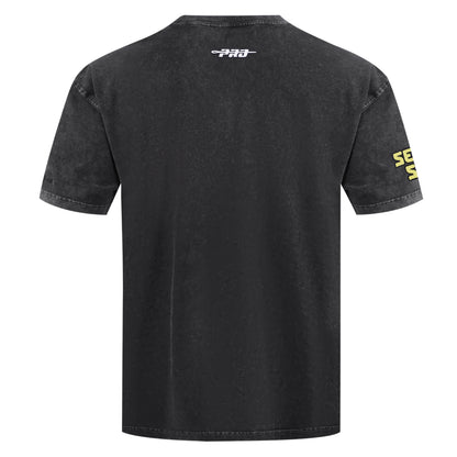 Pro Standard Mountains and Roses Enzyme Tee