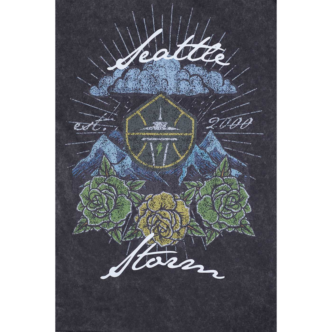 Pro Standard Mountains and Roses Enzyme Tee